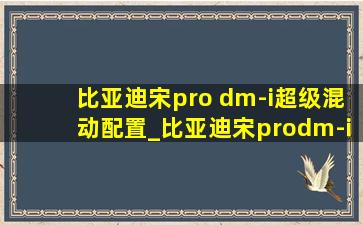 比亚迪宋pro dm-i超级混动配置_比亚迪宋prodm-i超级混动配置表